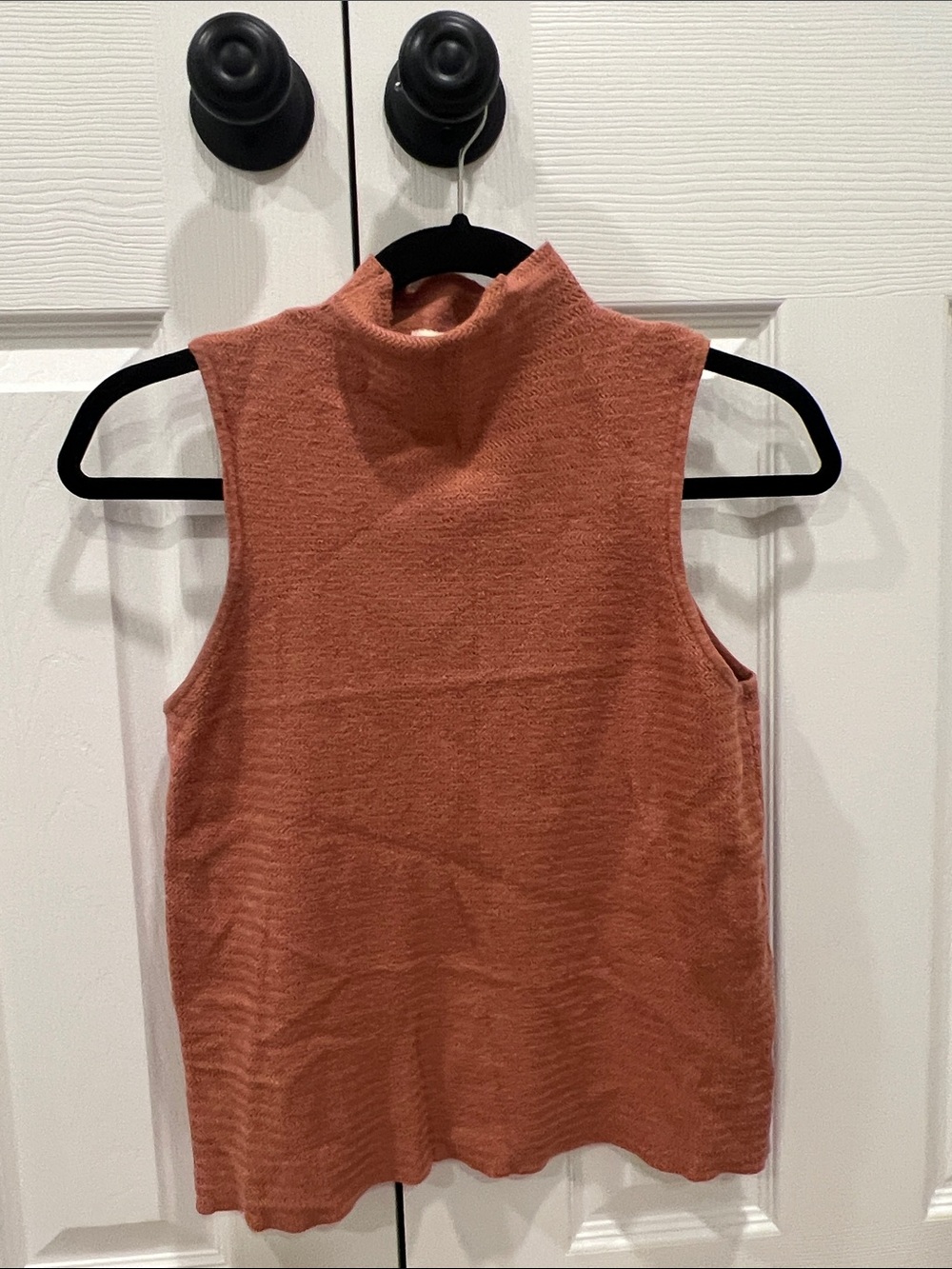Hidden Label Sleeveless Mock Neck Knit Top in Rust